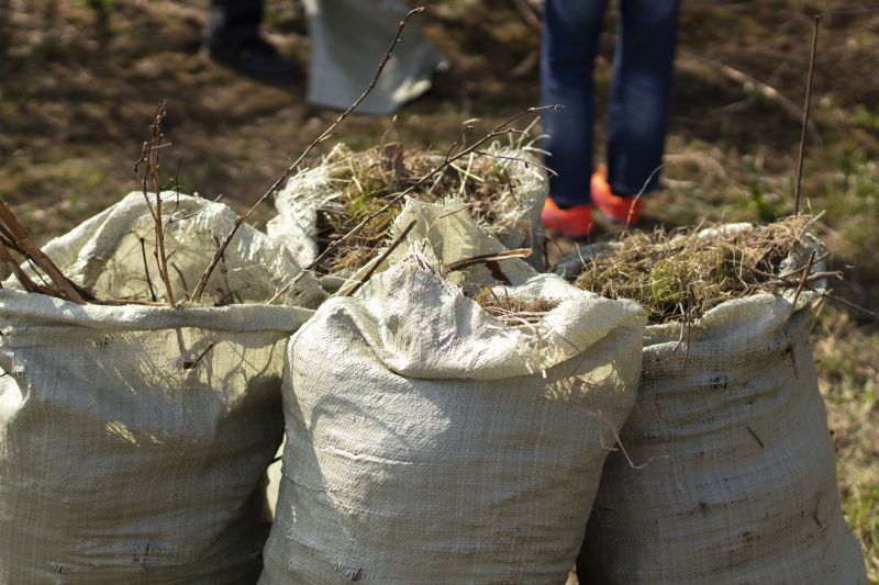 Local Outdoor Clutter Removal pros at work