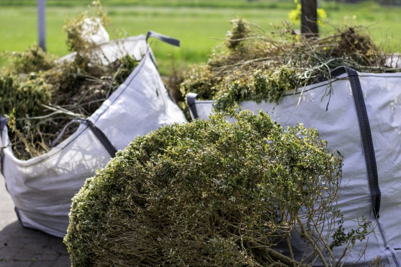 Outdoor Clutter Removal
