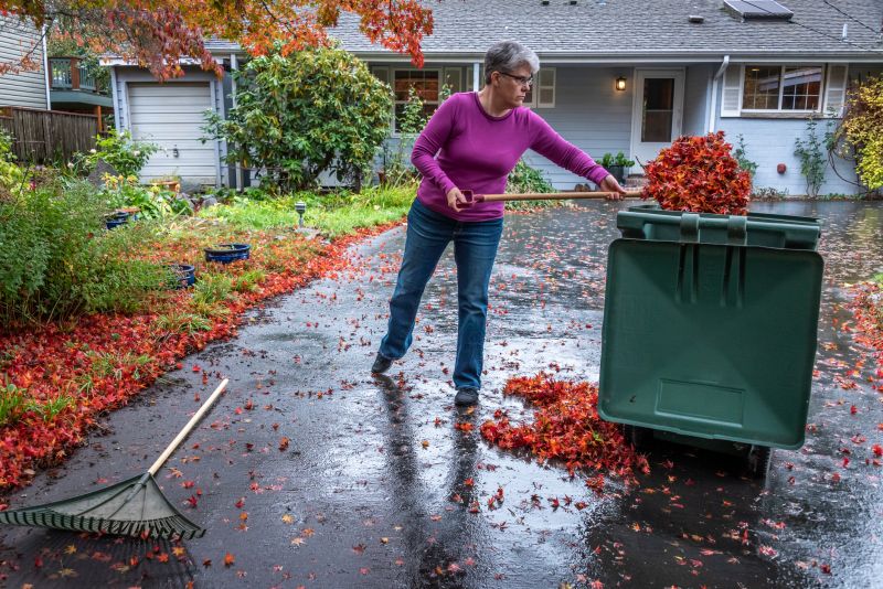 Autumn Leaf Removal