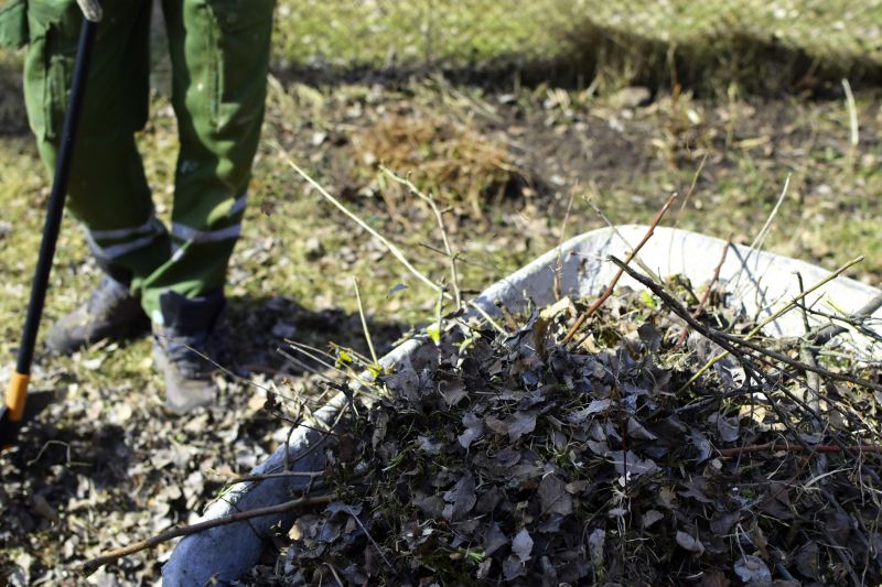 Accessibility & Comfort